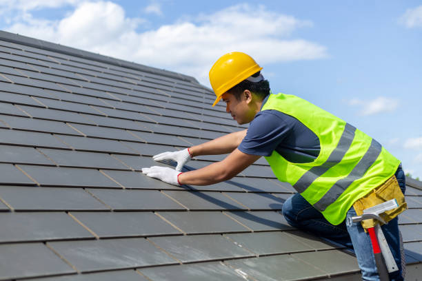 Best Roof Gutter Cleaning  in Van Alstyne, TX
