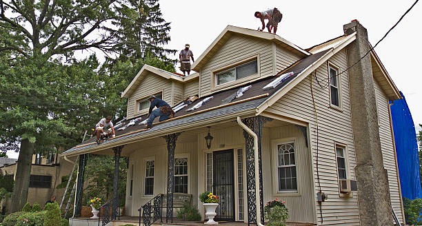 Best Metal Roofing Contractor  in Van Alstyne, TX